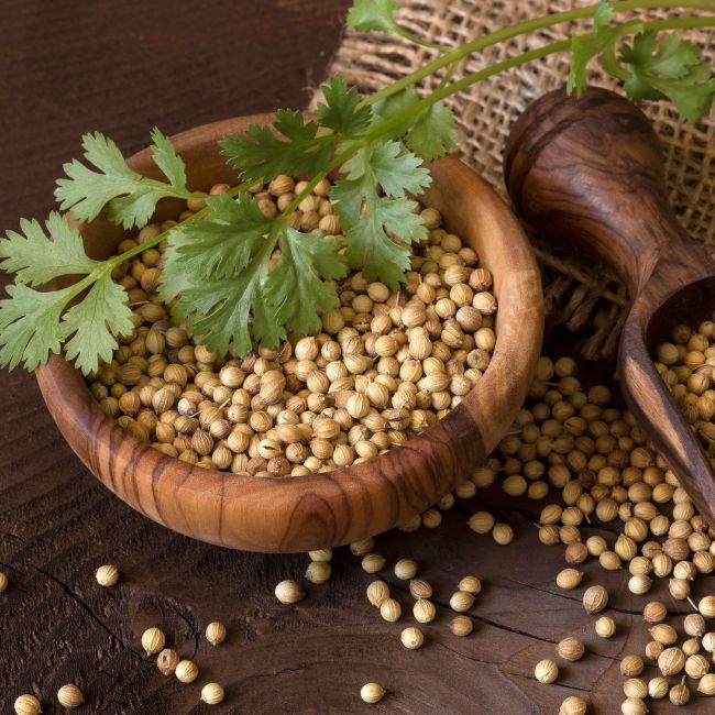 Coriander seeds